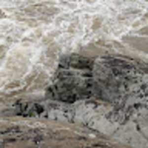 Meet your Posher, Patrick